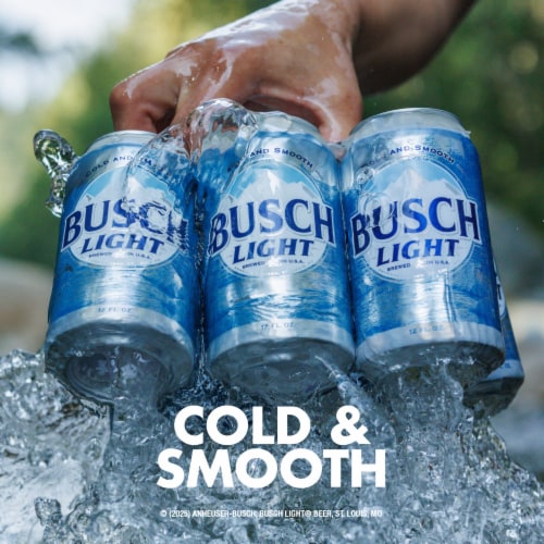 Busch Light American Lager Beer Perspective: back