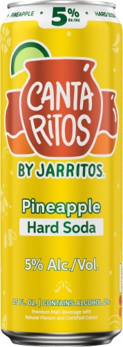 Jarritos Cantaritos Pineapple Hard Soda Perspective: back