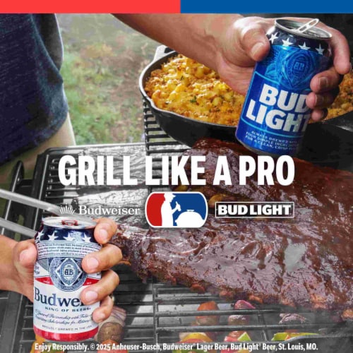 Bud Light American Light Lager Beer Perspective: back