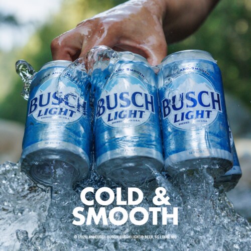 Busch Light American Light Lager Beer Perspective: back