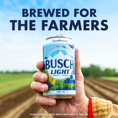 Busch Light American Lager Beer Perspective: back