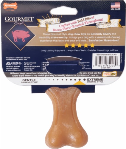 Nylabone® Bacon Flavor Wishbone Chew Toy Perspective: back