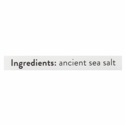 Redmond Real Salt® Ancient Fine Sea Salt Perspective: back