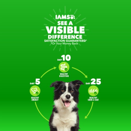 Iams Proactive Health Healthy Aging Dry Senior Dog Food Real Chicken Flavor Perspective: back