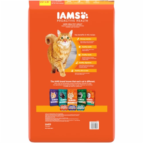 IAMS™ Proactive Health Healthy Adult with Chicken Dry Cat Food Perspective: back