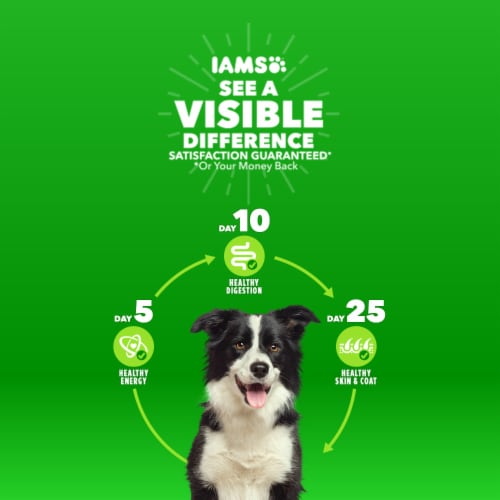 Iams Proactive Health Large Breed Adult Dry Dog Food Lamb & Rice Recipe Perspective: back