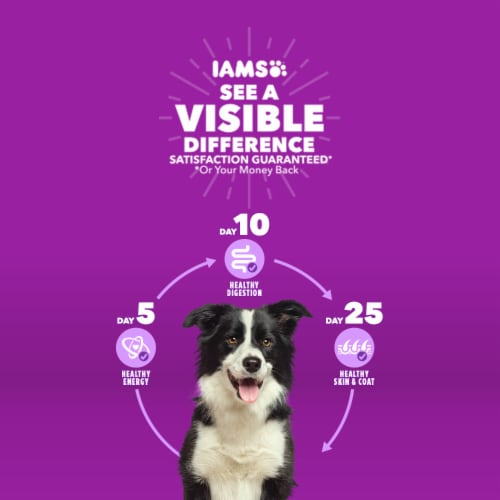 IAMS Advanced Health Healthy Digestion Chicken Adult Dry Dog Food Perspective: back