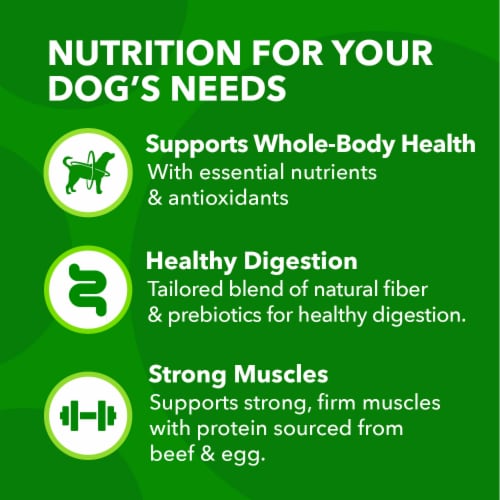 IAMS Proactive Health Adult Dry Dog Food Beef and Rice Recipe Perspective: back