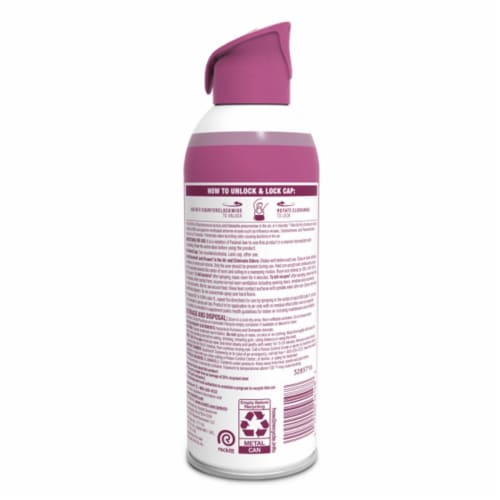 Lysol® Air Sanitizer Sunkissed Petals Scent Perspective: back