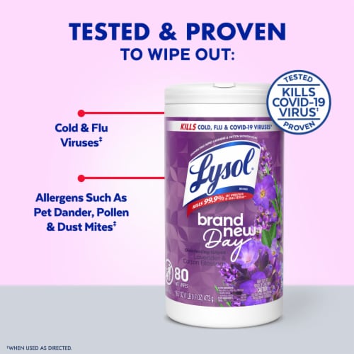 Lysol® Brand New Day™ Disinfecting Wipes Lavender & Cotton Blossom Perspective: back