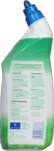 Lysol® Country Scent® Power & Fresh Cling Gel Toilet Bowl Cleaner Perspective: back