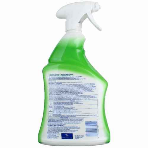 Lysol® Bleach Multi-Purpose Cleaner Perspective: back