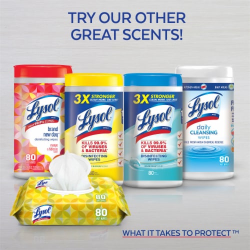 Lysol® Crisp Linen® Disinfecting Wipes Perspective: back