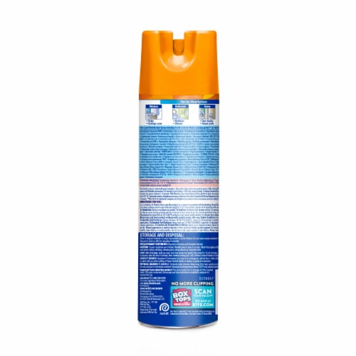Lysol Disinfectant Spray, Sanitizing Antibacterial Spray, Mango and Hibiscus, 19 oz Perspective: back