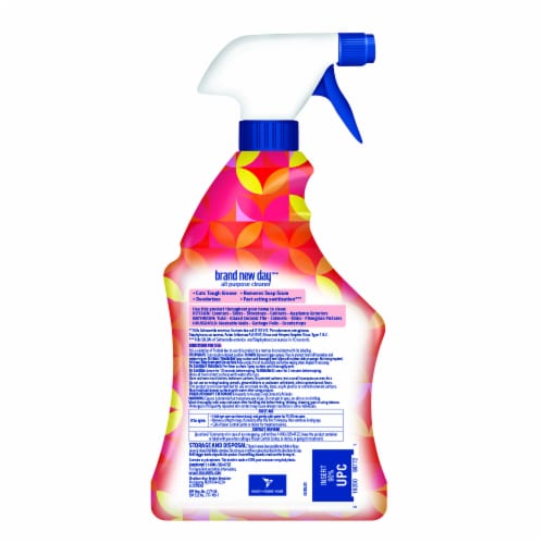 Lysol Brand New Day All Purpose Cleaner Spray Perspective: back