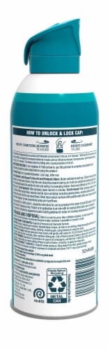 Lysol Air Sanitization and Odor Elimination Simple Fresh Scent Air Sanitizing Spray Perspective: back