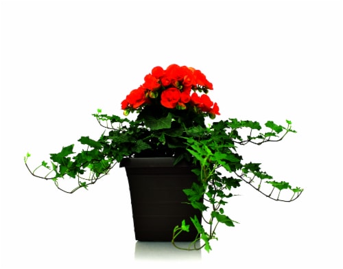 Spring Pallet Plant Perspective: back