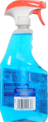 Windex With Ammonia Perspective: back
