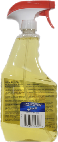 Windex Antibacterial Multi-Surface Cleaner Perspective: back