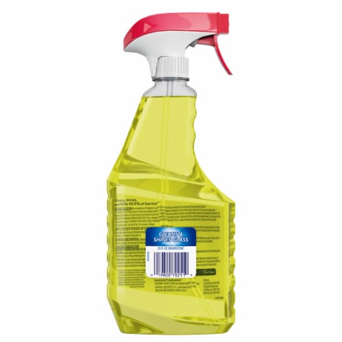 Windex® Citrus Fresh Multi-Surface Disinfectant Cleaner Perspective: back