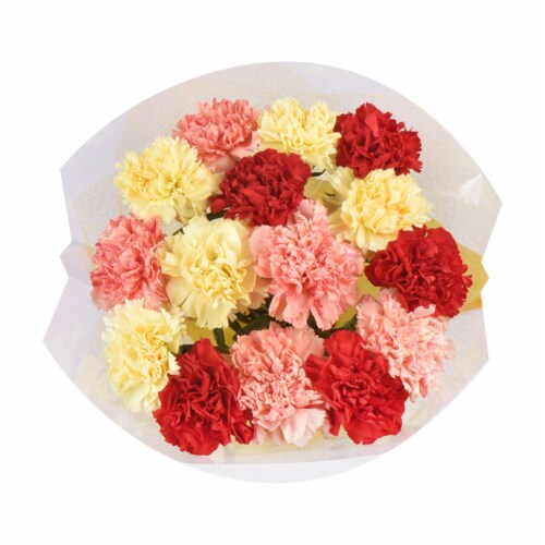 Rainbow Carnations Bouquet Perspective: back
