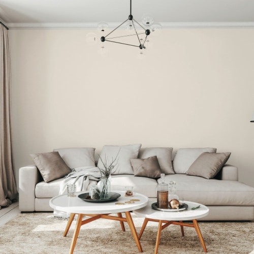 Rust-Oleum® Sure Color® Interior Wall Paint and Primer - Antique White Perspective: back