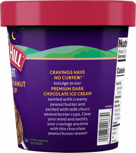Turkey Hill® Late Night™ Chocolate Pecan Ice Cream Pint