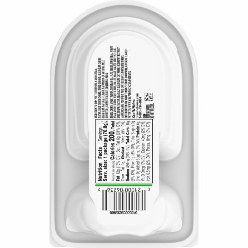 Philadelphia Multigrain Bagel Chips & Chive & Onion Cream Cheese Dip, Tray Perspective: back