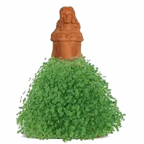 Chia Princess Perspective: back