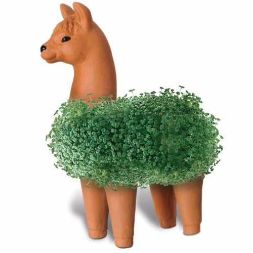 Chia Pet Planter - Llama Perspective: back