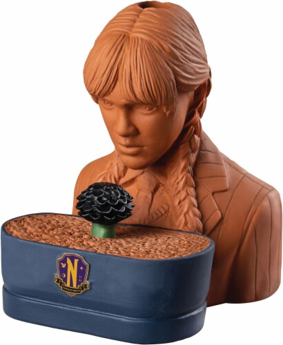 Wednesday Chia Pet Perspective: back