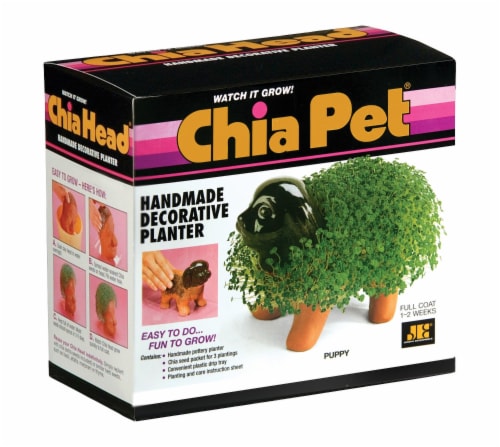 Chia Pet Handmade Decorative Planter Perspective: back