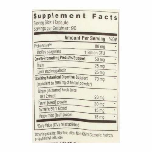 Rainbow Light ProbioActive Digestive Health Vegan Rapid Release Capsules Perspective: back