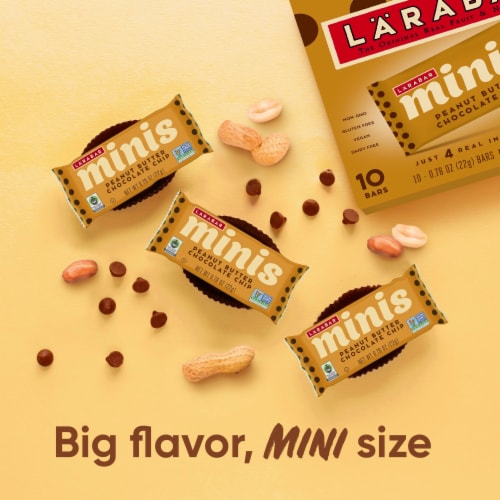 Larabar Minis Peanut Butter Chocolate Chip Fruit and Nut Bars Perspective: back
