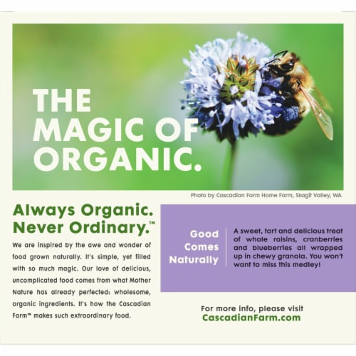 Cascadian Farm Organic Harvest Berry Chewy Granola Bars Perspective: back
