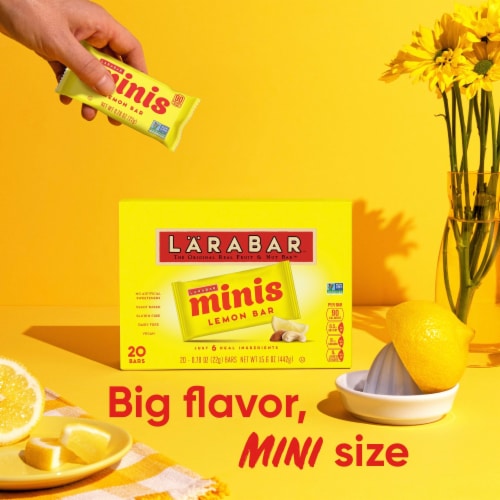 Larabar Minis Lemon Bar Mini Snack Bars Perspective: back