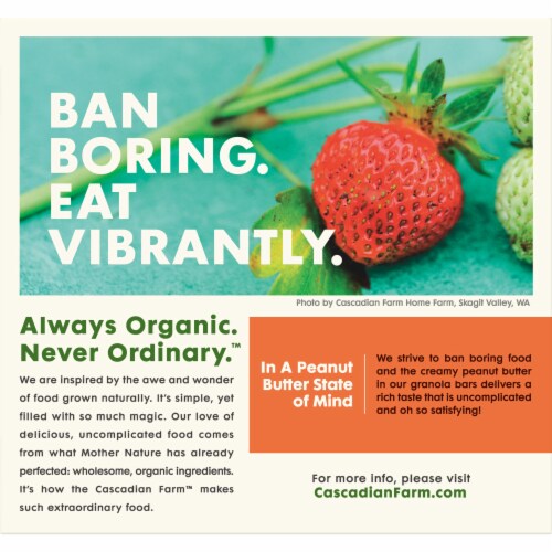 Cascadian Farm™ Organic Peanut Butter Chocolate Chip Kid's Size Chewy Granola Bars Perspective: back