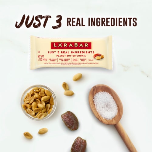 Larabar Gluten Free Vegan Peanut Butter Cookie Fruit & Nut Bars Healthy Snacks Perspective: back
