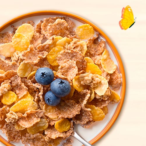 Cascadian Farm Organic Honey Oat Crunch Breakfast Cereal Perspective: back