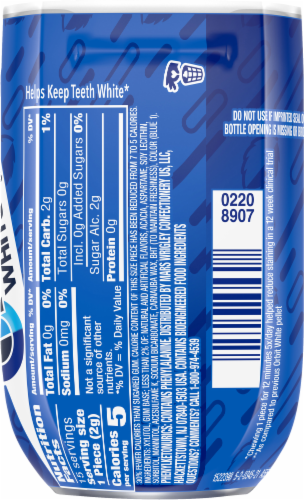 Orbit® White Peppermint Gum Perspective: back