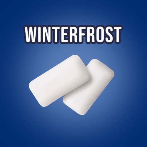 Eclipse Winterfrost Sugar Free Chewing Gum Bottle Perspective: back