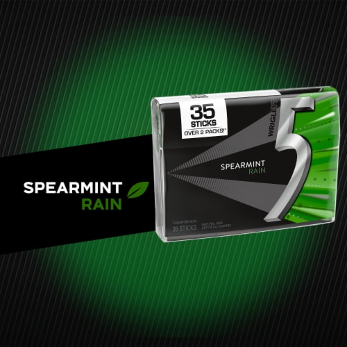 5 GUM Spearmint Rain Sugar Free Chewing Gum Perspective: back