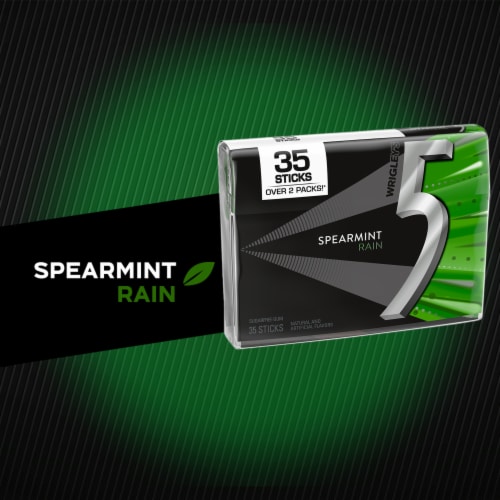 5 GUM Spearmint Rain Sugar Free Chewing Gum Pack Perspective: back