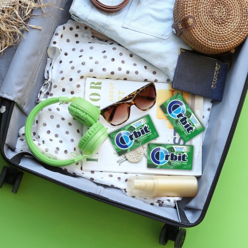 Orbit Spearmint Sugar Free Chewing Gum Multipack Perspective: back
