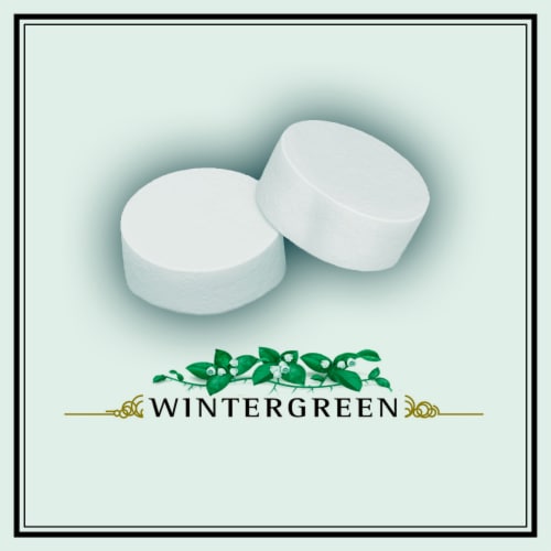 ALTOIDS Wintergreen Sugar Free Breath Mints Single Pack Perspective: back