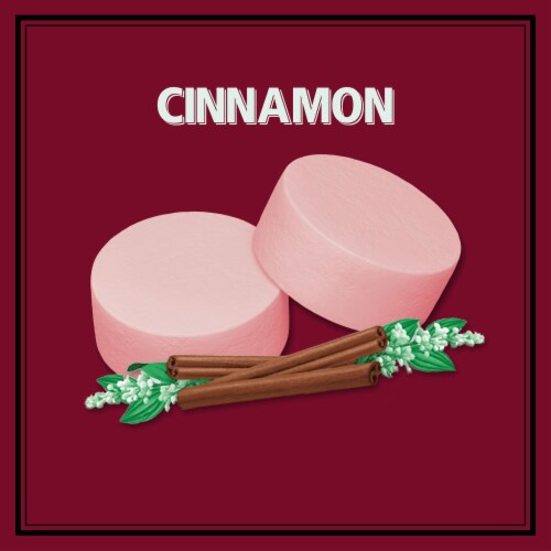 Altoids Cinnamon Breath Mints Tin Perspective: back