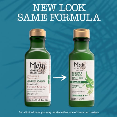 Thicken & Restore + Bamboo Fibers Shampoo Perspective: back