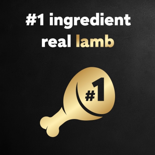 Cesar Lamb Loaf in Sauce Adult Wet Dog Food Perspective: back