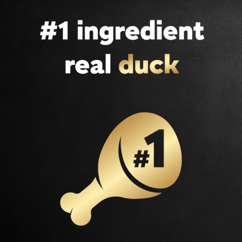 CESAR Classic Loaf in Sauce Duck Recipe Adult Wet Dog Food Perspective: back