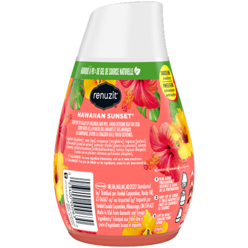 Renuzit® Hawaiian Sunset® Gel Air Freshener Perspective: back